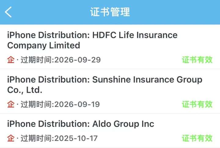 图片[22]-苹果Vision Pro开售即空，最新苹果破解签名带你起飞！