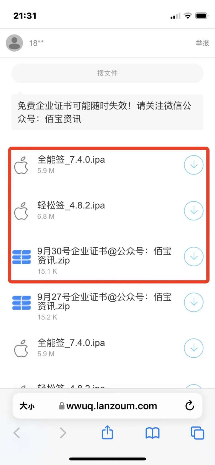 图片[9]-苹果Vision Pro开售即空，最新苹果破解签名带你起飞！