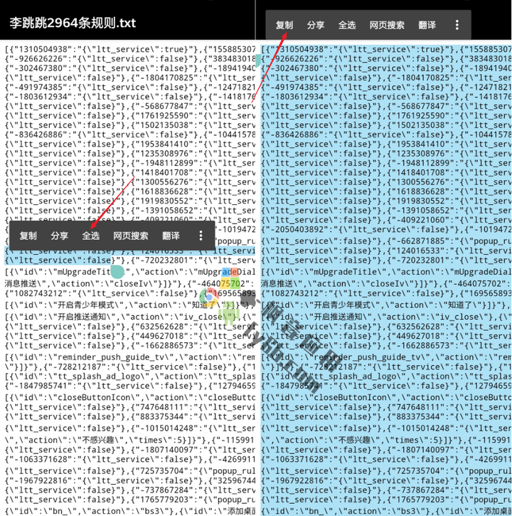 图片[3]-成功导入近3000条规则配适两款跳跳应用，满血复活李跳跳！